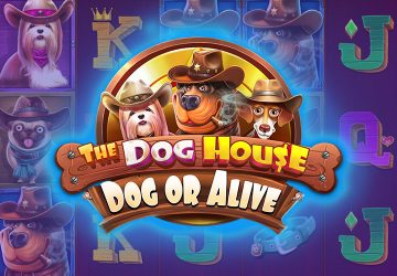 NOVOMATIC - игровой автомат онлайн от Various с RTP 97.71%